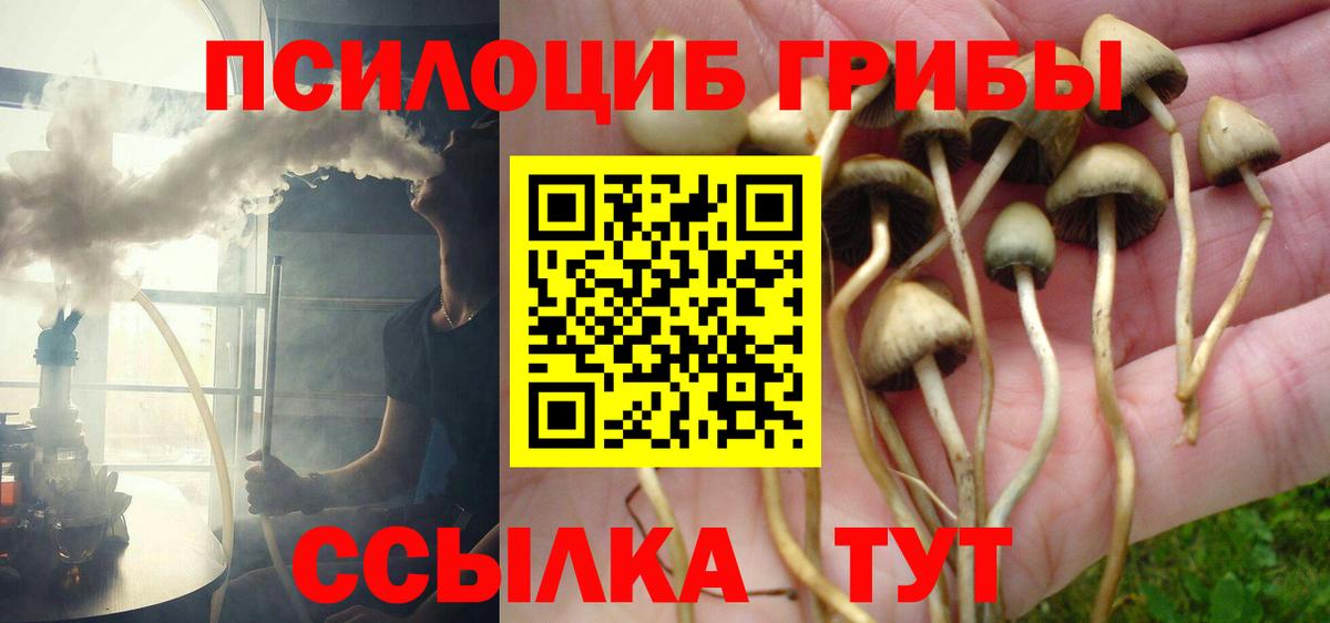 Псилоцибиновые грибы прущие грибы Ливны