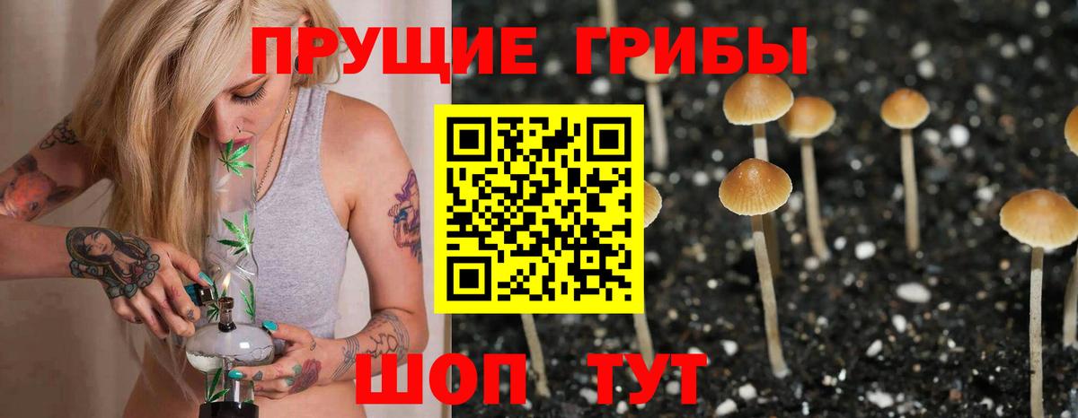 Галлюциногенные грибы GOLDEN TEACHER  Вход с VPN  Ливны 